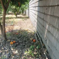 فروش زمین مسکونی 750متر شیرگاه خانم قربانی