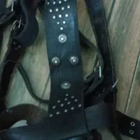 کمربند علامت|کلکسیون اشیاء عتیقه|دورود, |دیوار