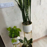 گل طبیعی با گلدان