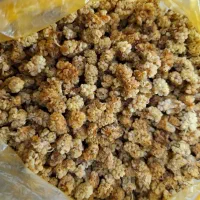 توت خشک محلی درجه ۲