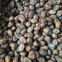 خرما خاصوی دانه 170تومان