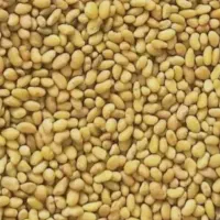 بذر یونجه درجه ۱
