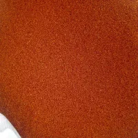 خاکشیر بوجاری شده اعلا ارگانیک