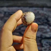 انگشتر طلا روس مردانه باسنگ اصل|جواهرات|یزد, |دیوار