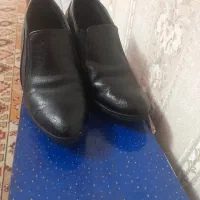 کفش زنانه|کیف، کفش، کمربند|رشت, منظریه|دیوار