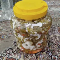 عرقیات و ترشی خانگی