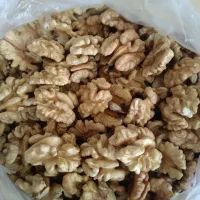 مغز گردو
