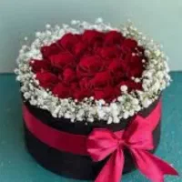 گل روبانی زیبا