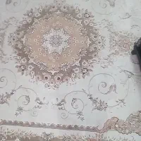 ۲عددفرشششمتریوو۲عددفرش۱۲متری|فرش|مشگین شهر, |دیوار