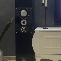 اسپیکر دوقلو خانگی ونوس|سیستم صوتی خانگی|شهرکرد, |دیوار