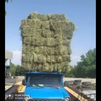 خرید و فروش یونجه و علف