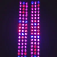 لامپ ال ای دی رشد گیاه