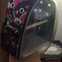 کوله پرنده سالم