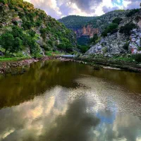 تلویزیون ۳۲ اینچ ال سی دی ال جی