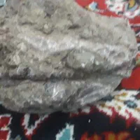 سخره اکواریم