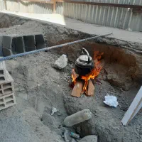 نیازمند همخونه