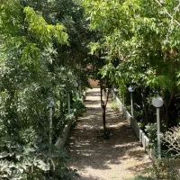 ملک تجاری فروشی|فروش دفتر صنعتی، کشاورزی، تجاری|معصومیه, |دیوار