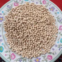 نخود سرحد
