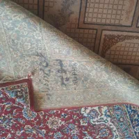 قالی کارکرده ولی تمیز|فرش|لنجان, |دیوار