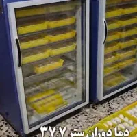 دستگاه جوجه کشی بلدرچین دماوند  در حد نو