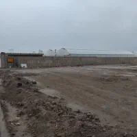 زمین-2000متری-سند-دار-فروشی