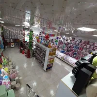همکار خانم