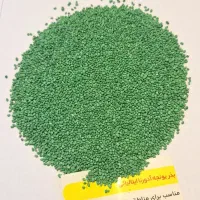 سس گیری شده|خدمات باغبانی و درختکاری|بستان آباد, |دیوار