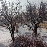 فروش ملک در بیرون روستا (سلطانیه زنجان)