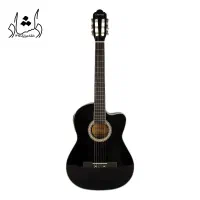 فروش گیتار پاپ|گیتار، بیس، امپلیفایر|اردبیل, |دیوار