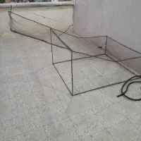 تله کبوتر