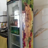 یخچال ایستاده هیمالیا به شرط