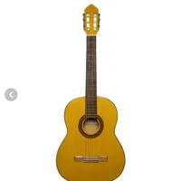 گیتار بنبرگ