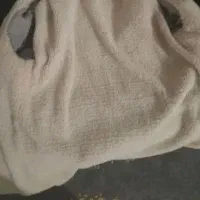 کاپشن ذغالی|لباس|ملایر, |دیوار