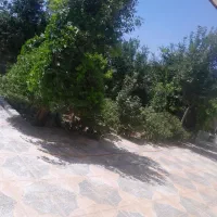 کمپ ترک اعتیاد