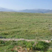 زمین-کشاورزی