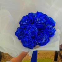 گل روبانی جاویدان|گل مصنوعی|مرند, |دیوار