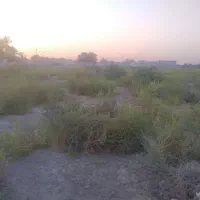 زمین-به-مساحت-2هکتار