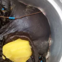 روغن حیوانی