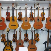 گیتار ویولن  سنتور  کیبورد دوتار ستار  هنگ دارم دف