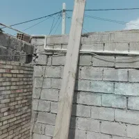 تخته داربس