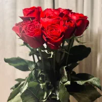 استخدام سرایدار بدون بچه برای منزل مسکونی