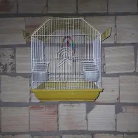 قفس پرنده