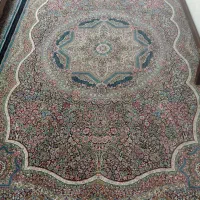 دو جفت قالی ۶ متری|فرش|کرمان, |دیوار