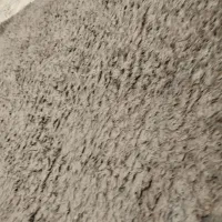 فرش شگی یا تدی|فرش|تهران, تهرانسر شمالی|دیوار