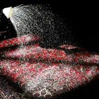 قالیشویی تهرانپارس حکیمیه فرجام هنگام شیان لویزان|خدمات نظافت|تهران, مجیدآباد|دیوار