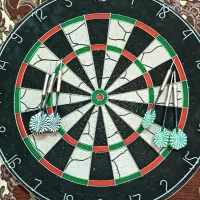 تخت دارت سوزنی پرو اسپورتز