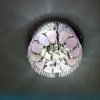 لوستر