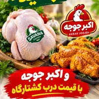 به دو شاگرد قصاب نیازمندیم