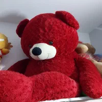 خرس سایز خیلی بزرگ