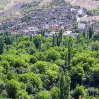 طبیعتگردی کمپ دورهمی دوستانه